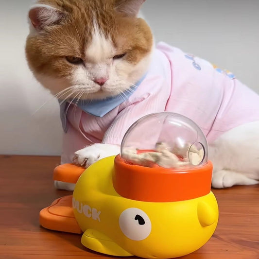 P pet snack toy