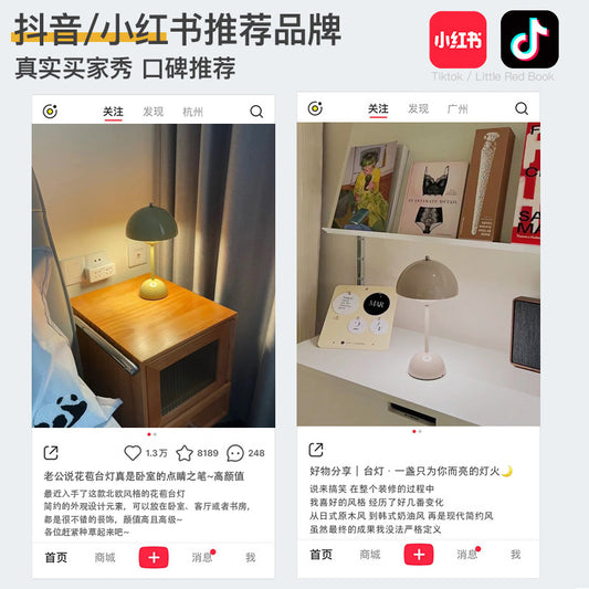 A USB charging lamp