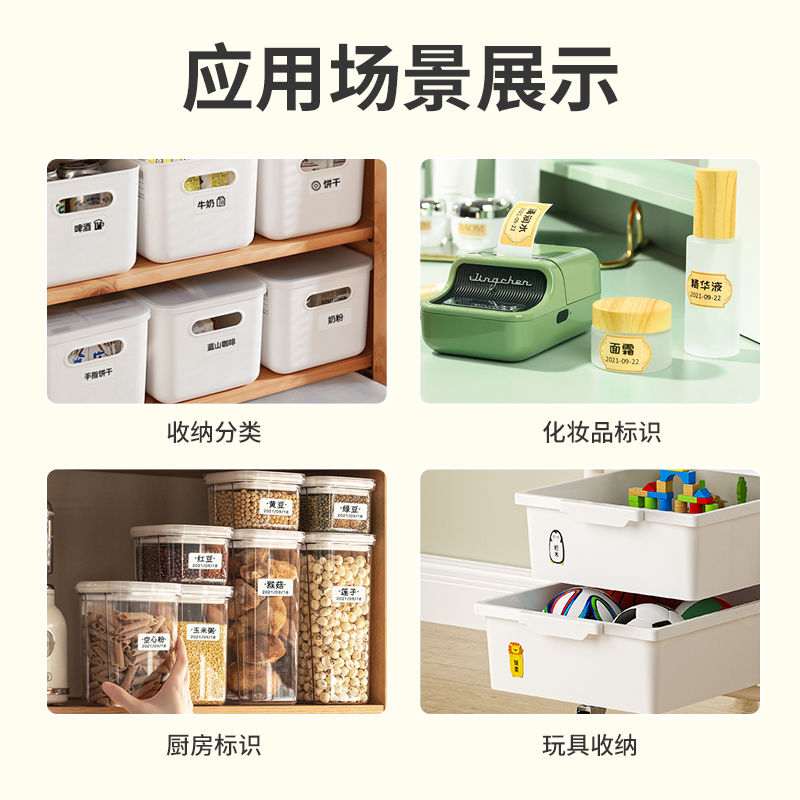 P  Label Printer B21