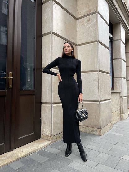 A long-sleeved knit dress