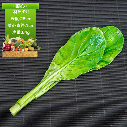 A simulated vegetable early education props studio shooting props window ornaments fake cabbage radish fake vegetables