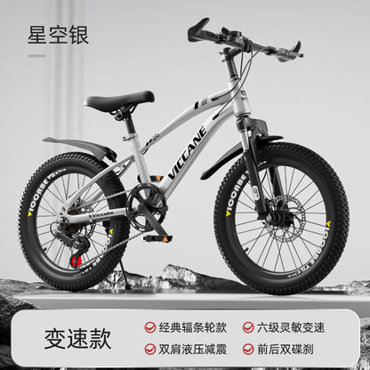 A children's bike variable speed mountain bike