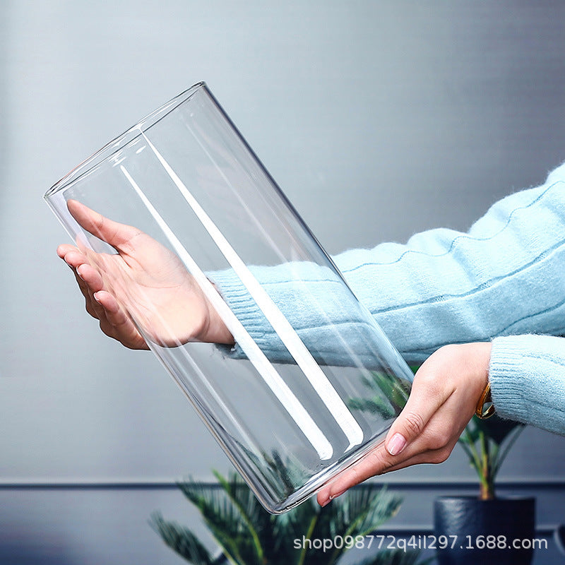 A straight glass vase plant container fish tank ornament