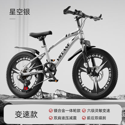 A children's bike variable speed mountain bike