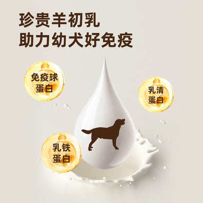 A Special Food Fresh Meat Dog Food Teddy Elderly Dog Muscle Building Bone