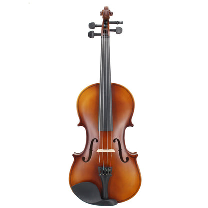 A violin
