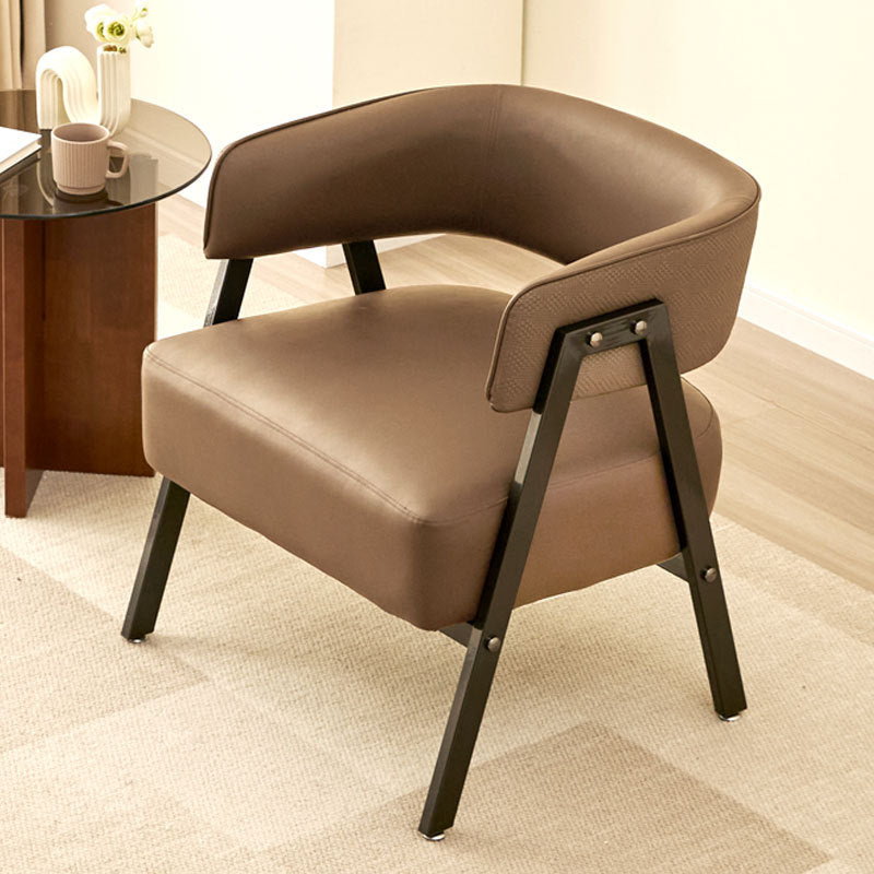A single cat scratching casual, sofa chair