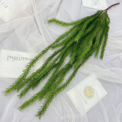 A houndstail hanging large shopping mall event decoration wedding plant wall decoration wall