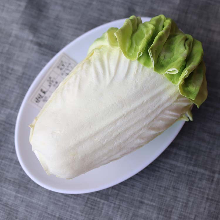 Simulated food model Residents' dietary balance Pyramid model Exchange props Plastic Reasonable nutrition textbook