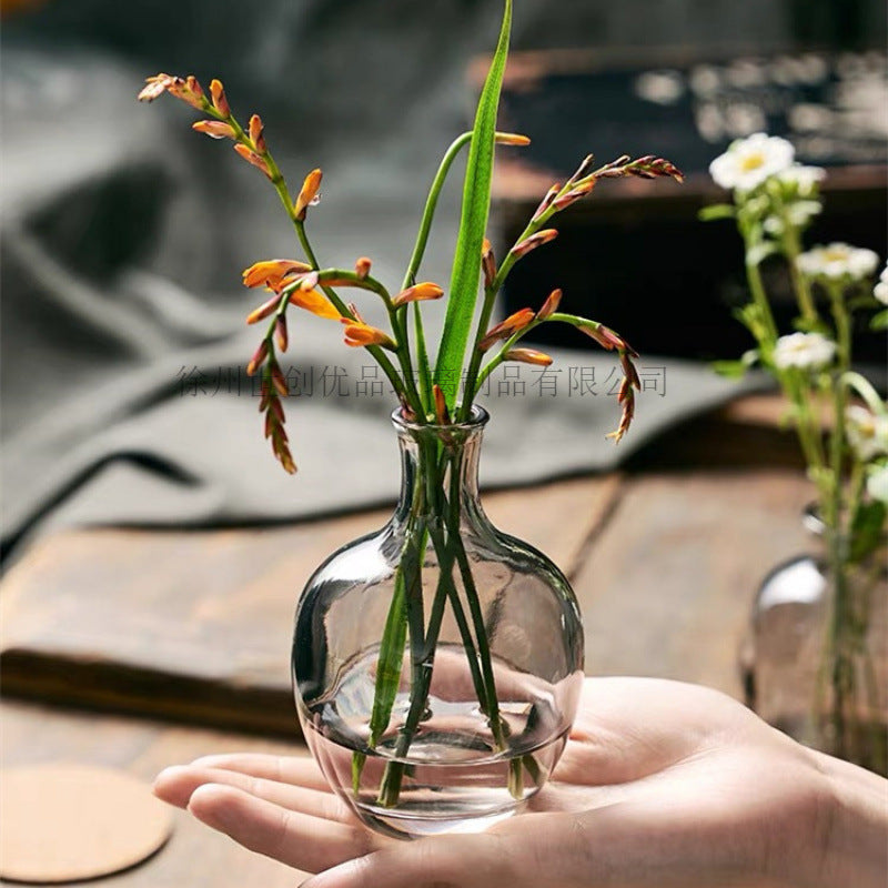 A Nordic simple and creative mini vase ins wind glass water flower cultivator living room desktop decoration small ornament