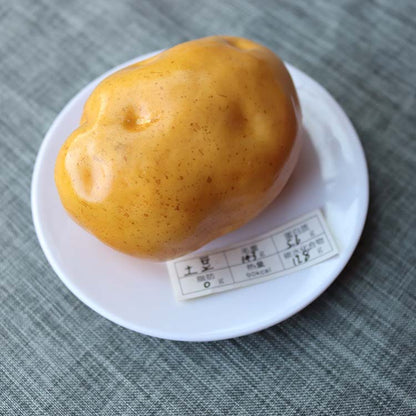Simulated food model Residents' dietary balance Pyramid model Exchange props Plastic Reasonable nutrition textbook