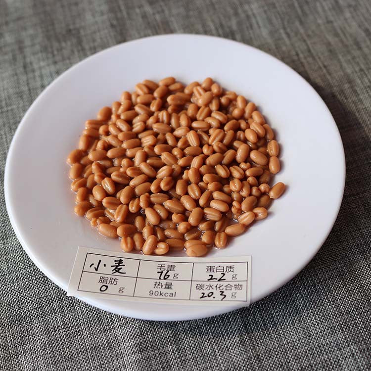 Simulated food model Residents' dietary balance Pyramid model Exchange props Plastic Reasonable nutrition textbook