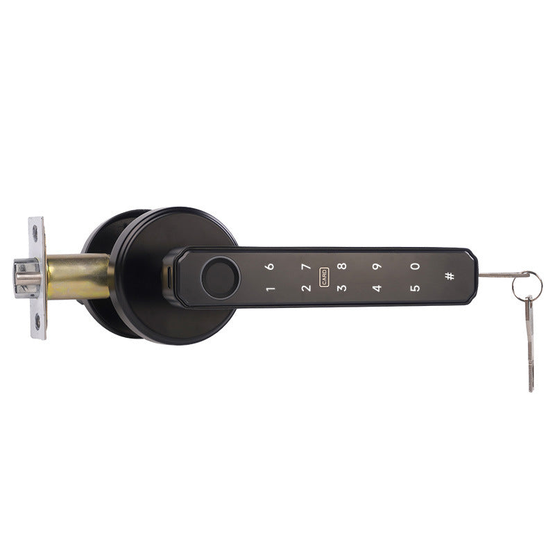 A Indoor Wooden Door Graffiti Fingerprint Lock One Grip Open Home Electronic Lock Spherical Smart Lock Combination Lock