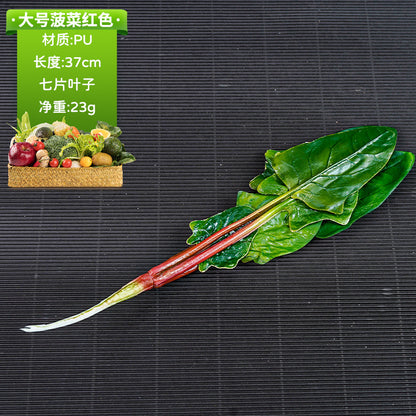 A simulated vegetable early education props studio shooting props window ornaments fake cabbage radish fake vegetables