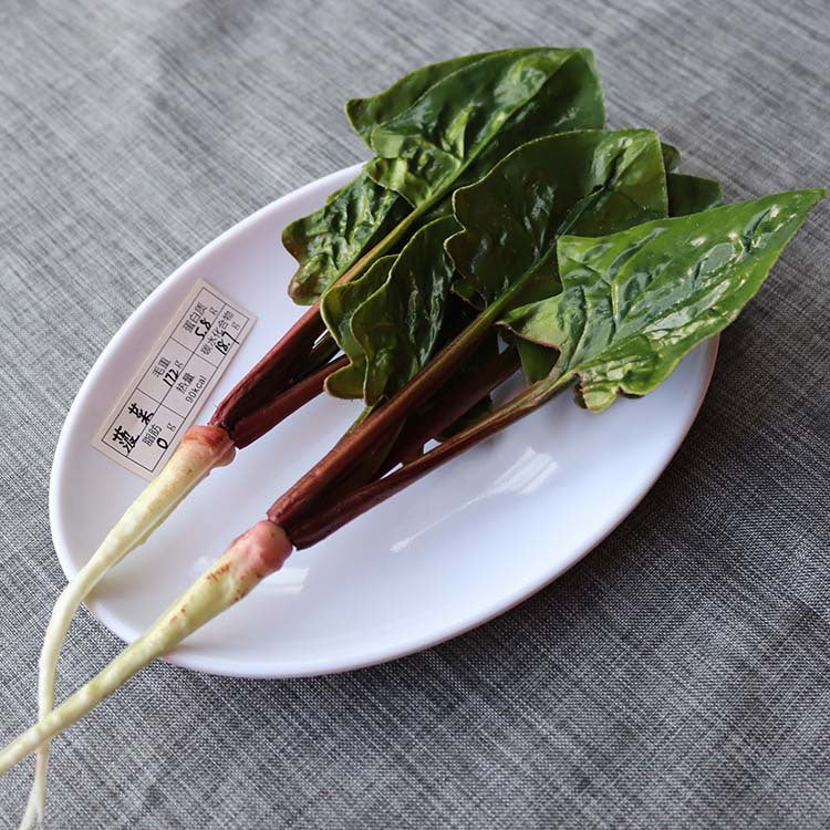 Simulated food model Residents' dietary balance Pyramid model Exchange props Plastic Reasonable nutrition textbook