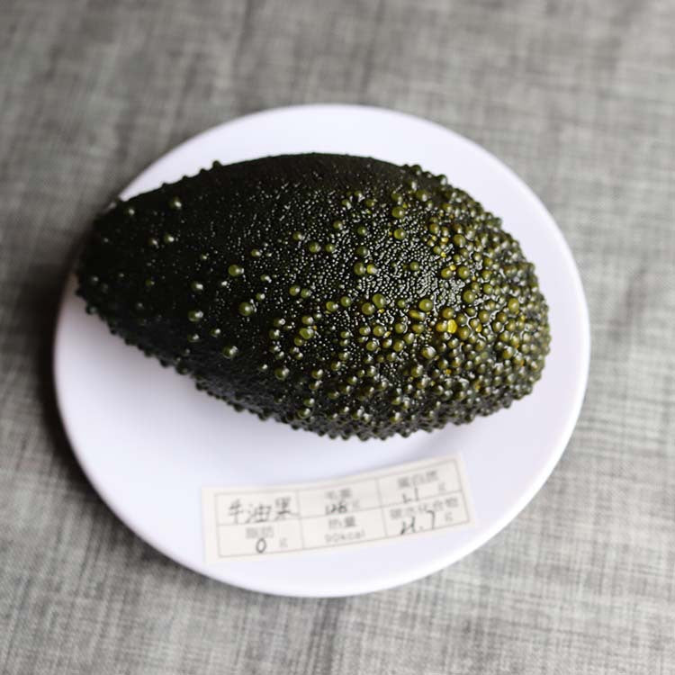 Simulated food model Residents' dietary balance Pyramid model Exchange props Plastic Reasonable nutrition textbook