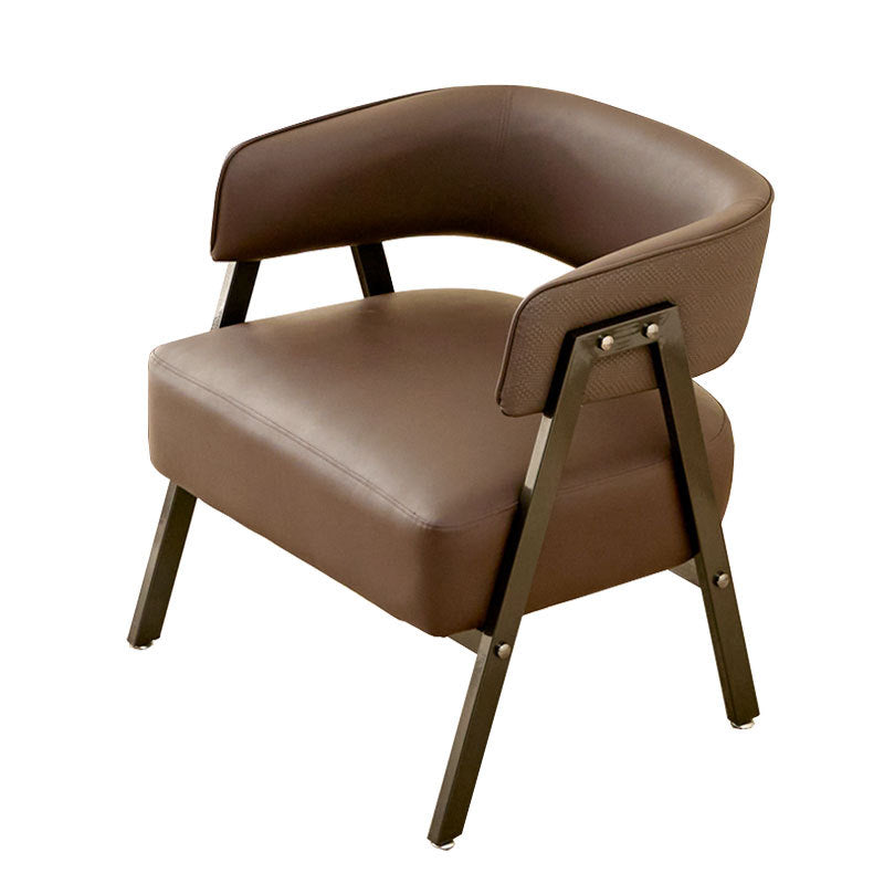 A single cat scratching casual, sofa chair