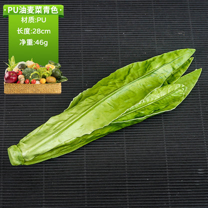 A simulated vegetable early education props studio shooting props window ornaments fake cabbage radish fake vegetables