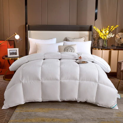 A cotton quilt winter quilt