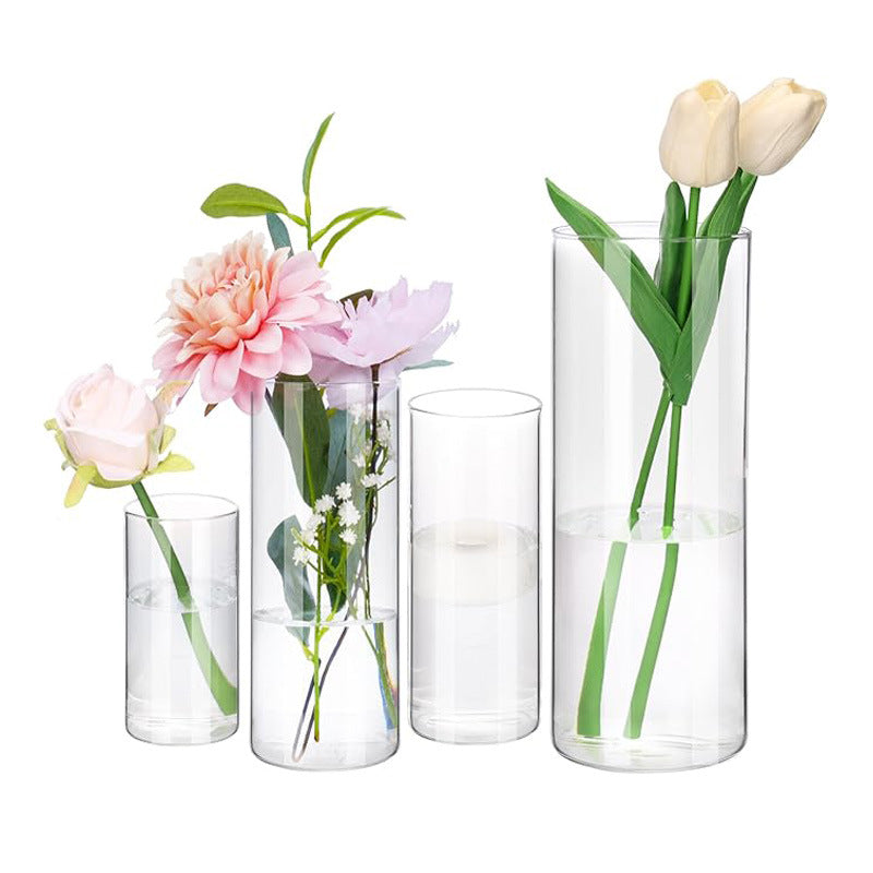 A straight glass vase plant container fish tank ornament