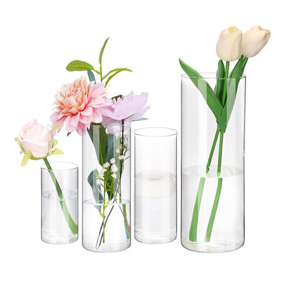 A straight glass vase plant container fish tank ornament